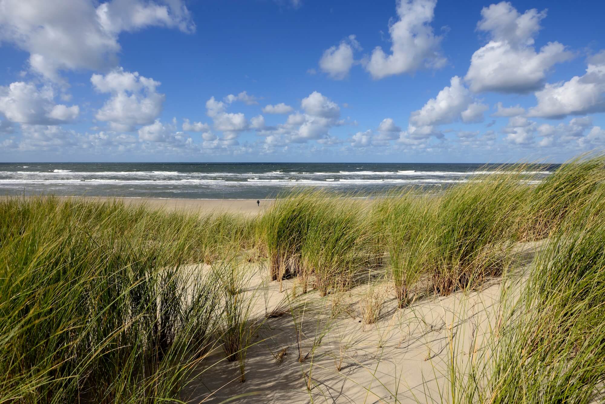 duinen met zich op zee