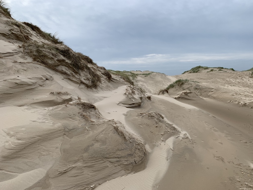 Duinen Bergen aan Zee door Emiel Oost