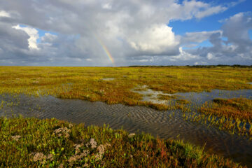 Grote wolk en regenboog boven slenk in de kwelder van het Westerstrand op het waddeneiland Schiermonnikoog door Ronald van Wijk
