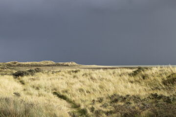 Vlieland door Kaja van Rhijn